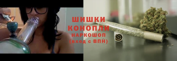 эйфоретик Аркадак
