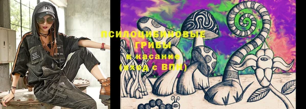 эйфоретик Аркадак
